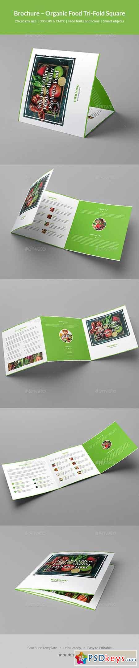 Brochure  Organic Food Tri-Fold Square 20445155