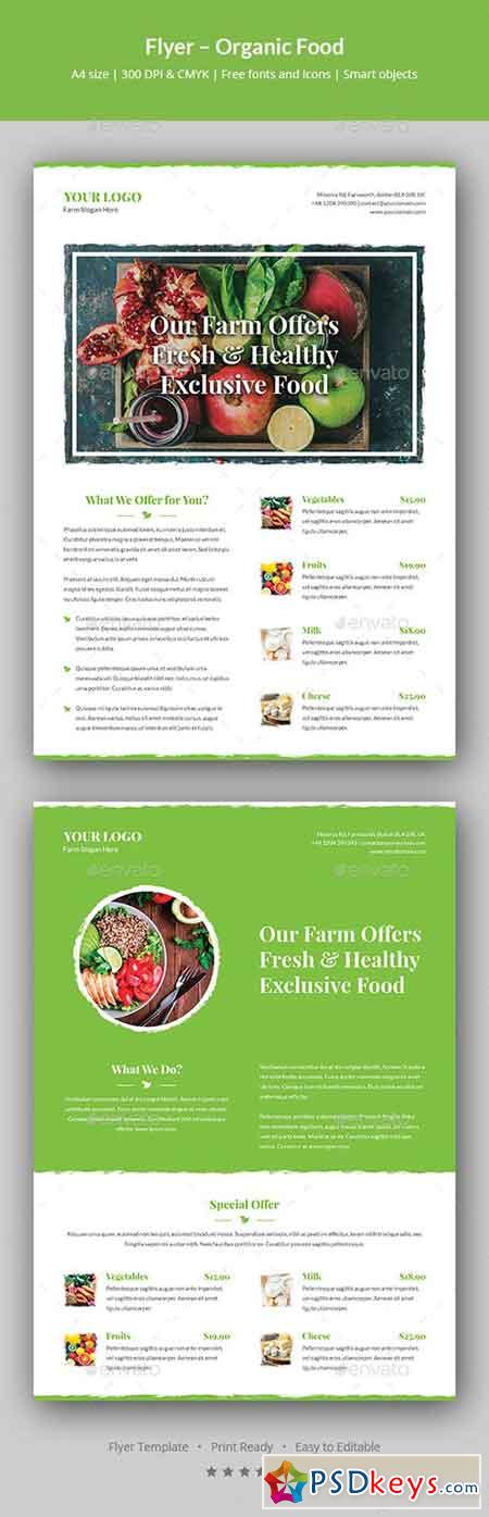 Flyer  Organic Food 20450802
