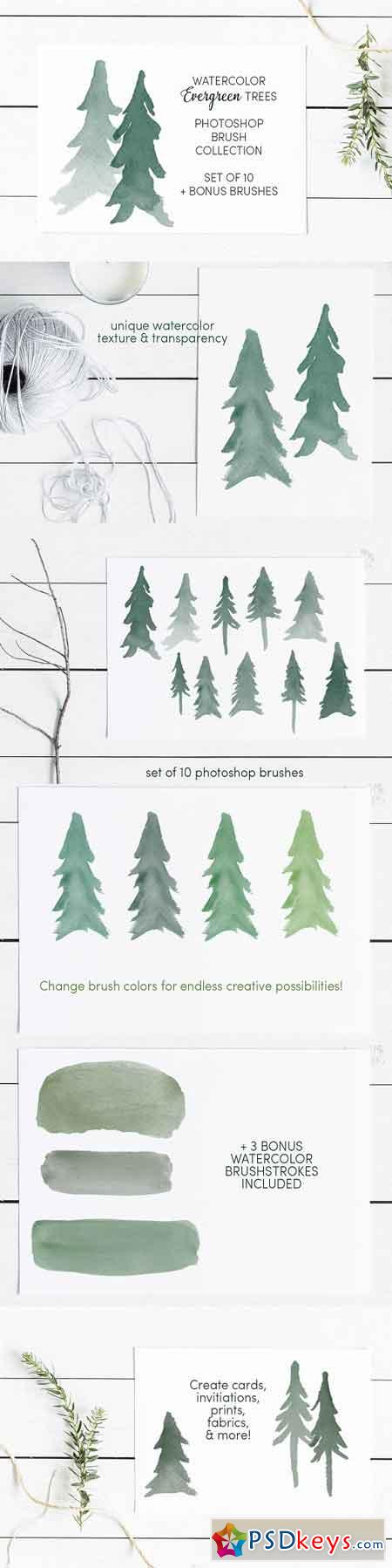 Watercolor Evergreen Trees Brush Set 1755967