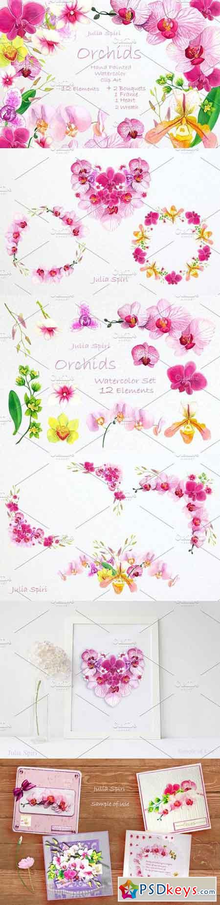 Orchids Watercolor Clip Art 772631