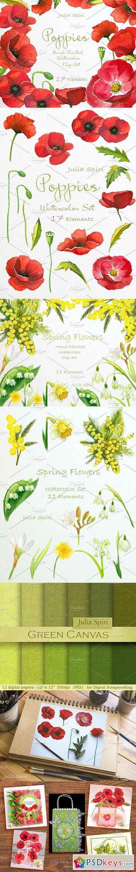 Poppies & Spring Flowers. Watercolor 780415