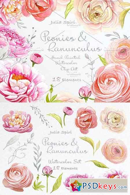 Peonies & Ranunculus. Watercolor Set 780413