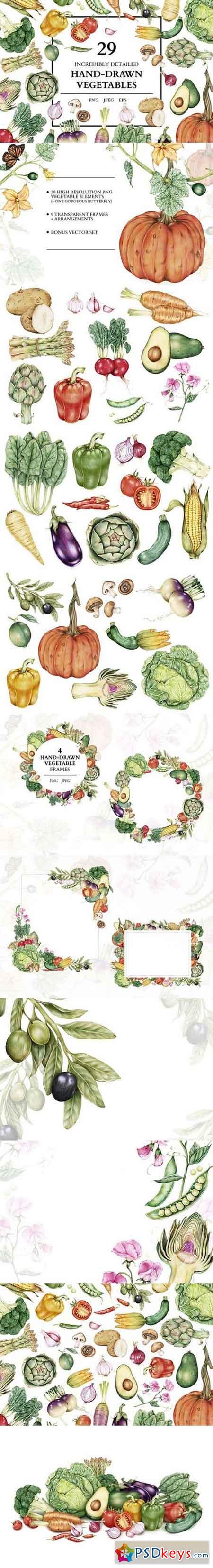 29 Incredible hand-drawn vegetables 1734414