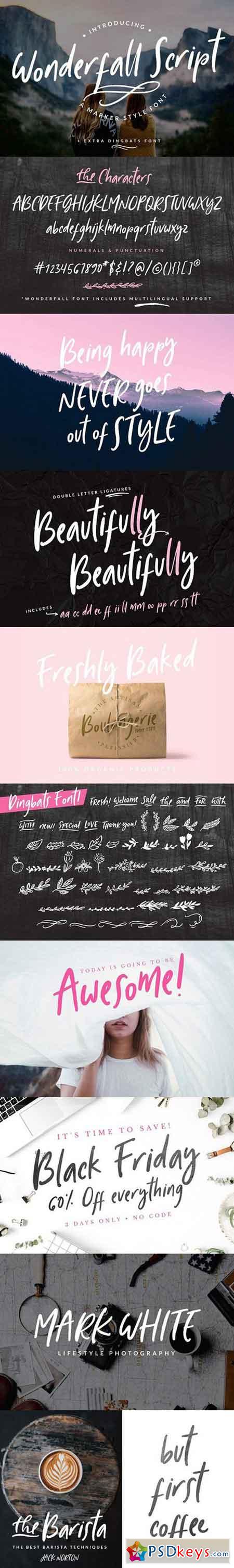 Wonderfall Script + Dingbats Script Fonts 1708459