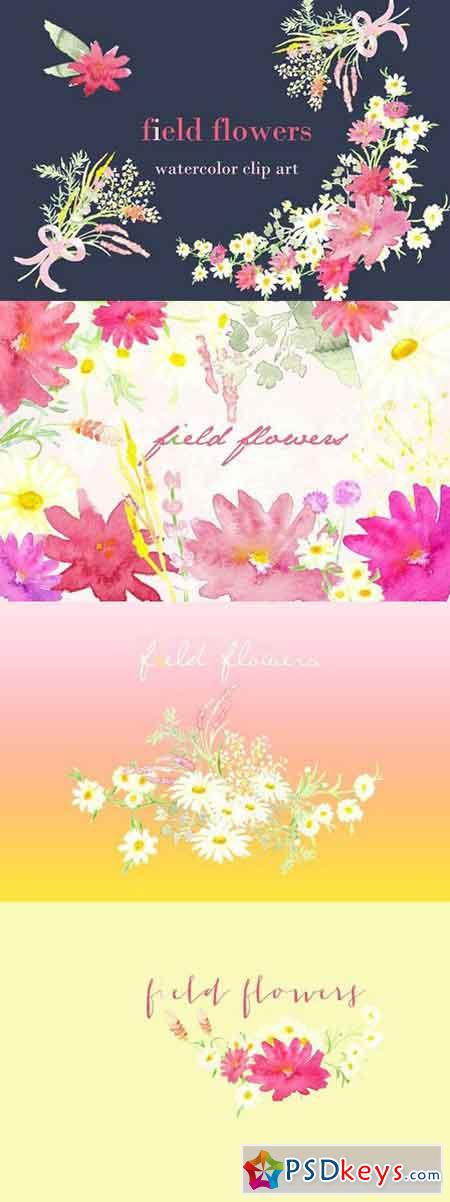 Field Flowers watercolor clip art 252985