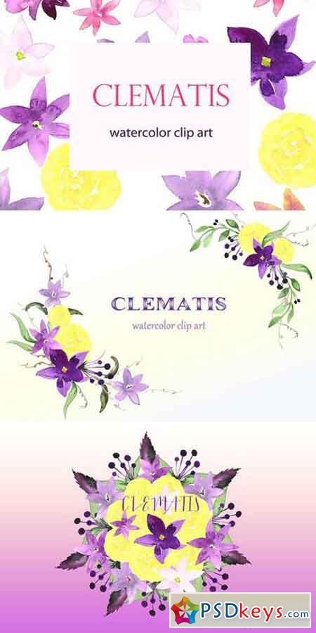 Clematis Purple. Watercolor clip art 239345