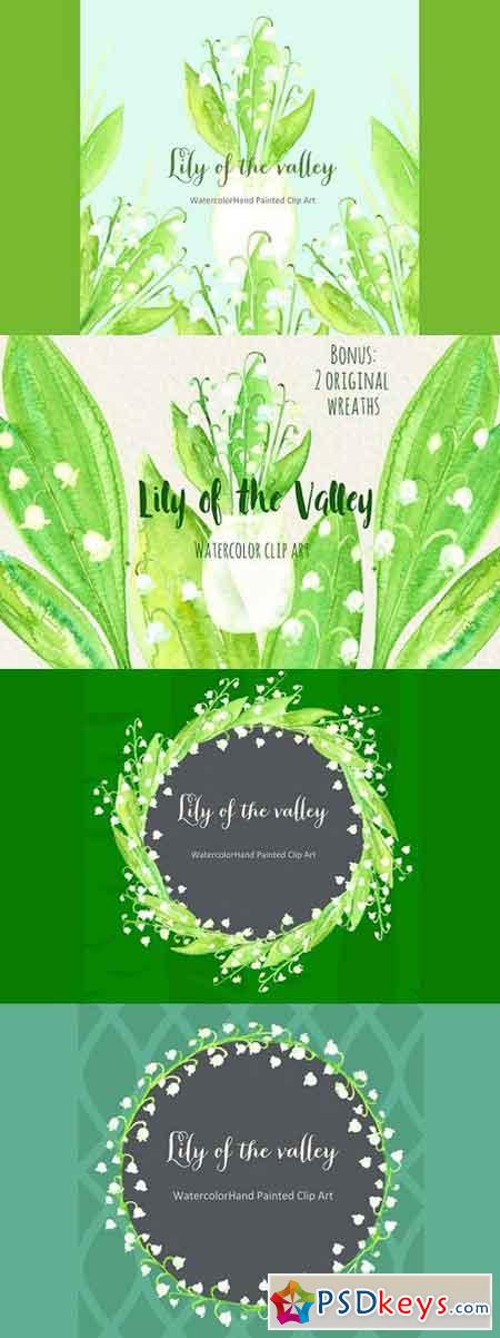 Lily of the valley watercolor 251848