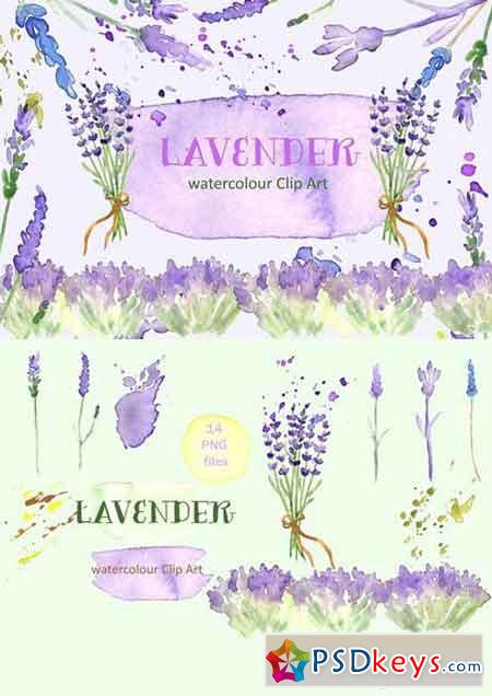 Lavender watercolor clip art 234179