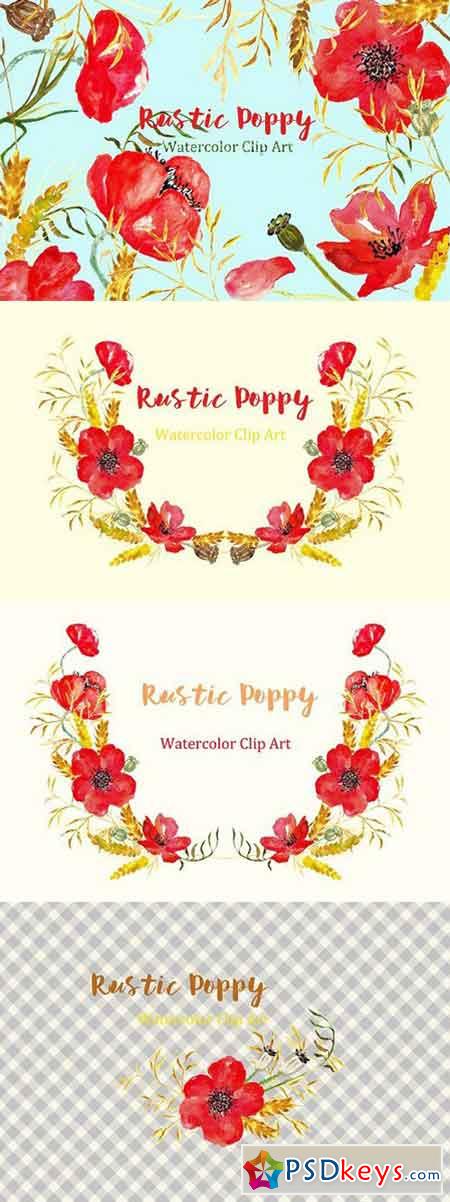 Ructic Poppy watercolor Clip Art 307829