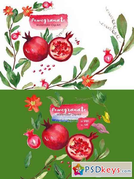 Pomegranate. Watercolor Clip art 280590