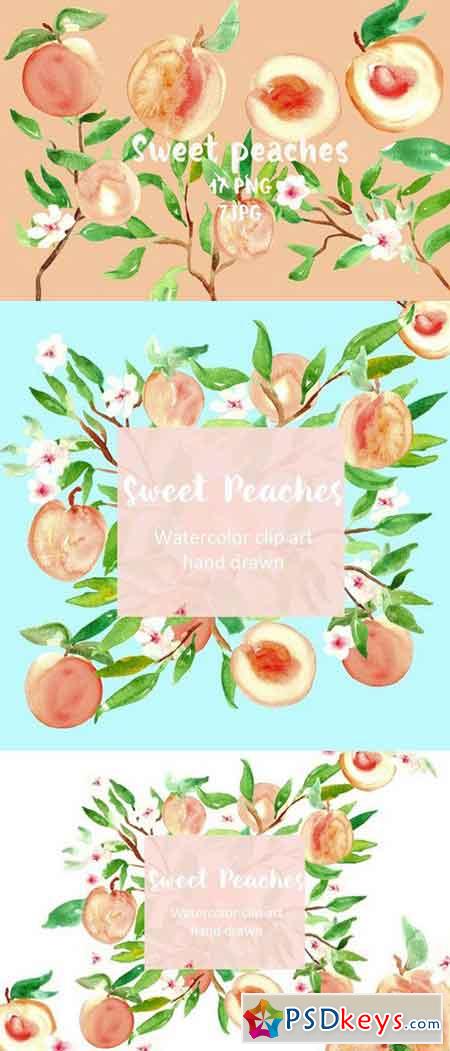 Peach. Watercolor clip art 291922