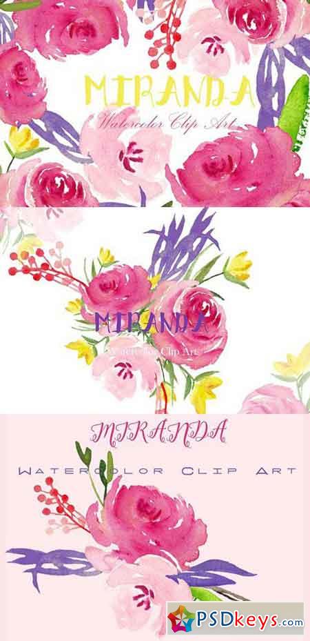 Miranda roses. Watercolor Clipart 337762