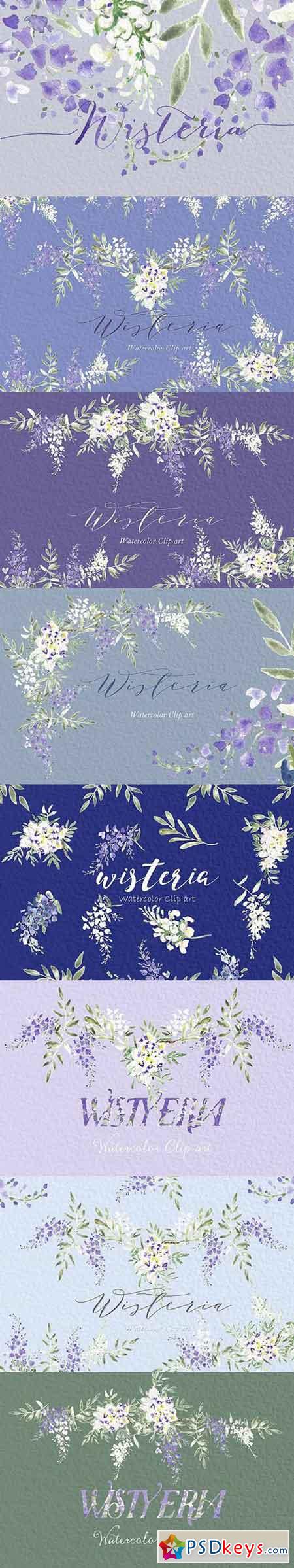 Wisteria wedding watercolor clipart 572321