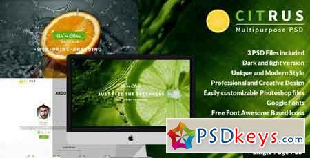 Citrus v1.0 - One Page PSD Template 7219144