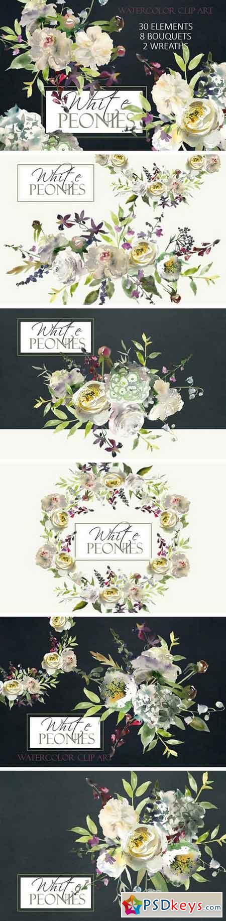 Watercolor White Flowers Clipart 983330