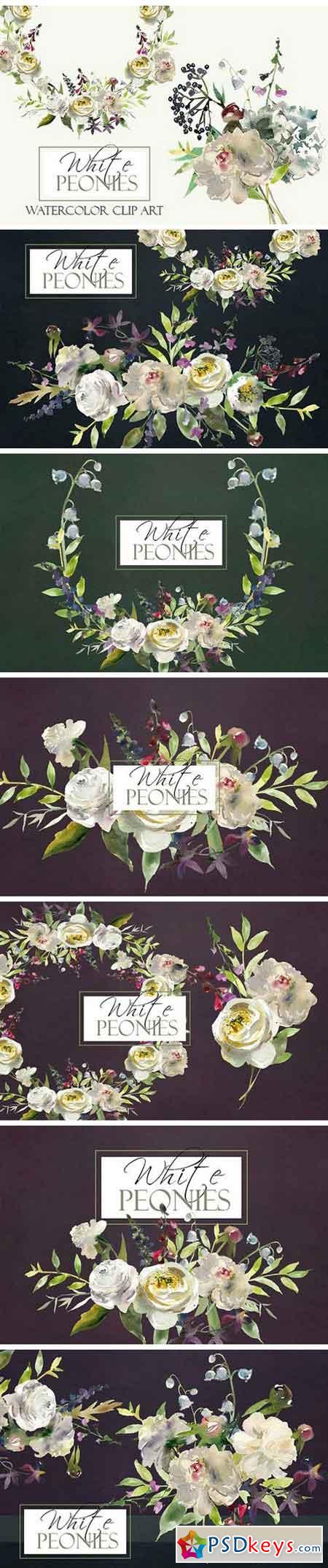 Watercolor White Flowers Clipart 983330