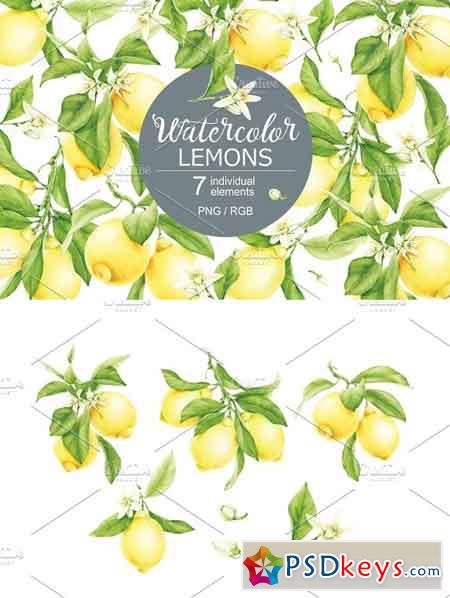 Watercolor Lemons 1813501