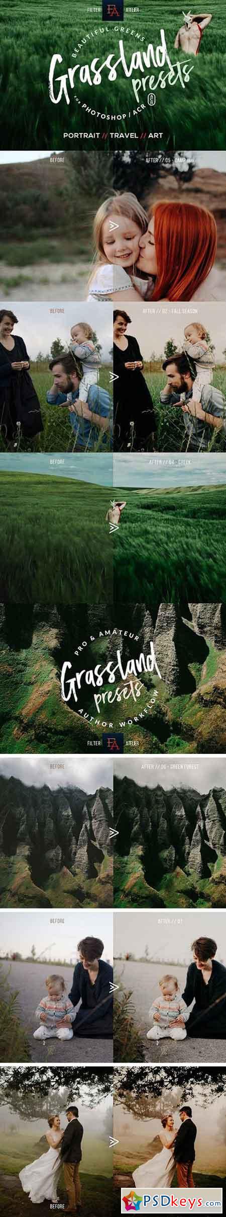 Grassland ACR Presets 1783535