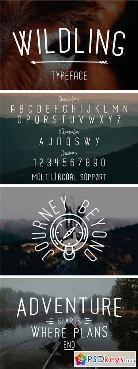 Wildling Typeface 1707033