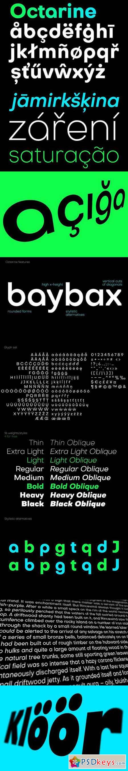 Octarine (16 fonts) Sans Serif Fonts 1794101