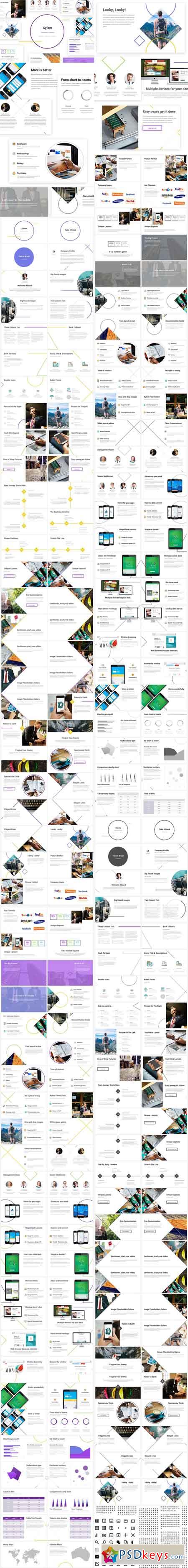 Xylom PowerPoint Template