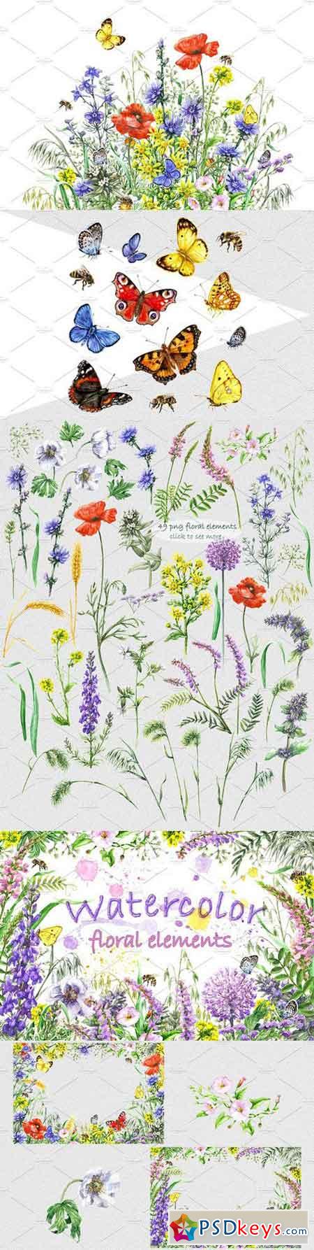 Watercolor Summer Wildflowers 1807785