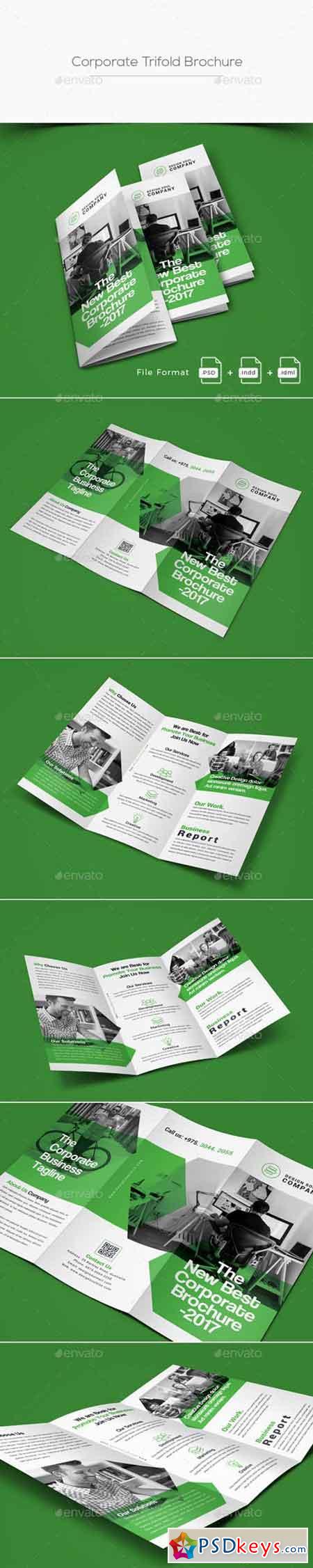 Trifold Brochure 20655519