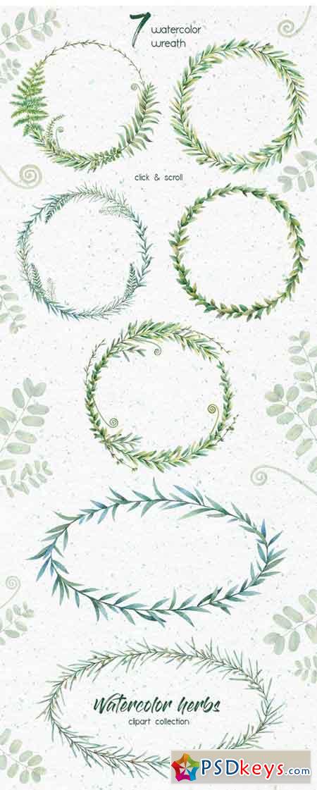 Watercolor Herbs Clipart Collection 1818264