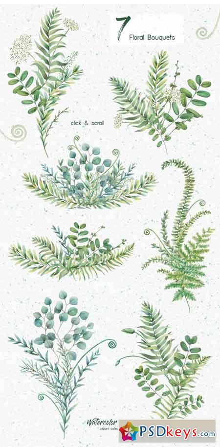 Watercolor Herbs Clipart Collection 1818264