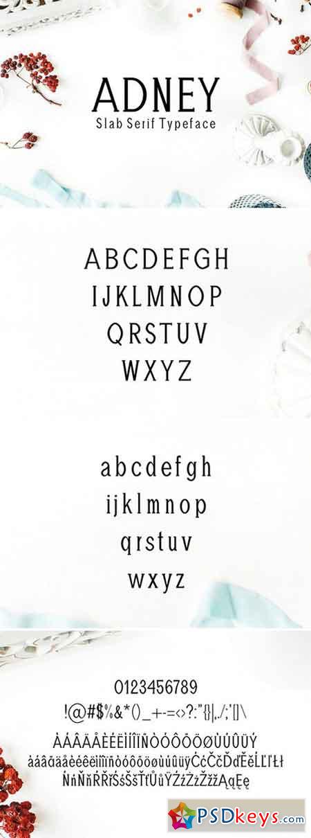 Adney Slab Serif 3 Font Family 1820376