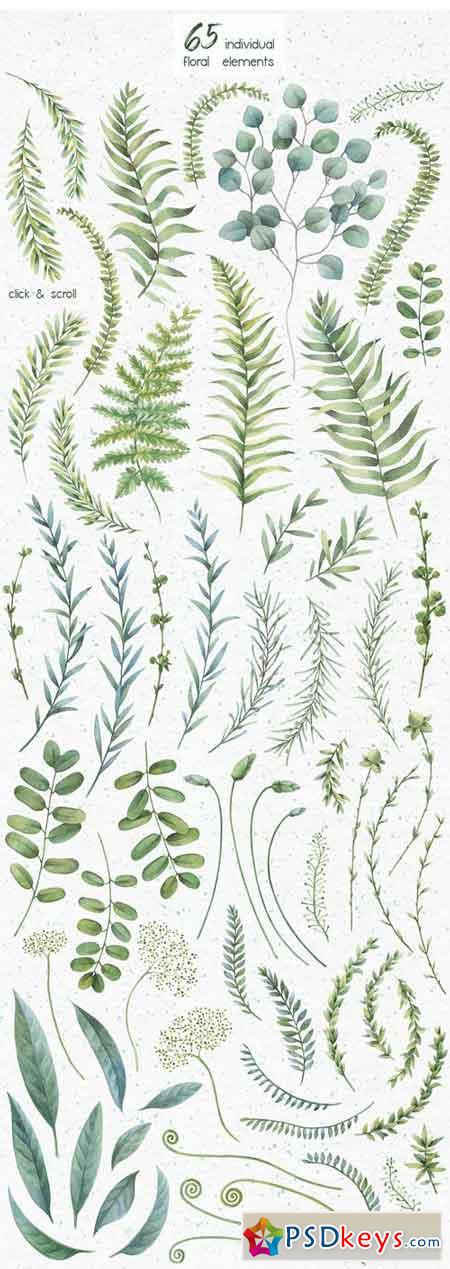 Watercolor Herbs Clipart Collection 1818264