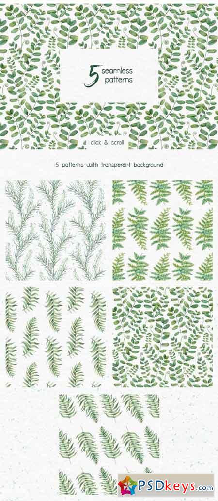 Watercolor Herbs Clipart Collection 1818264