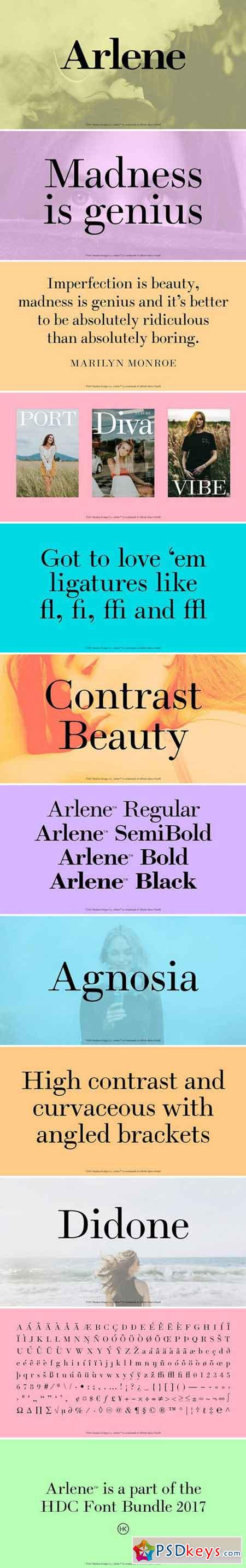 Arlene Serif Font 1808976