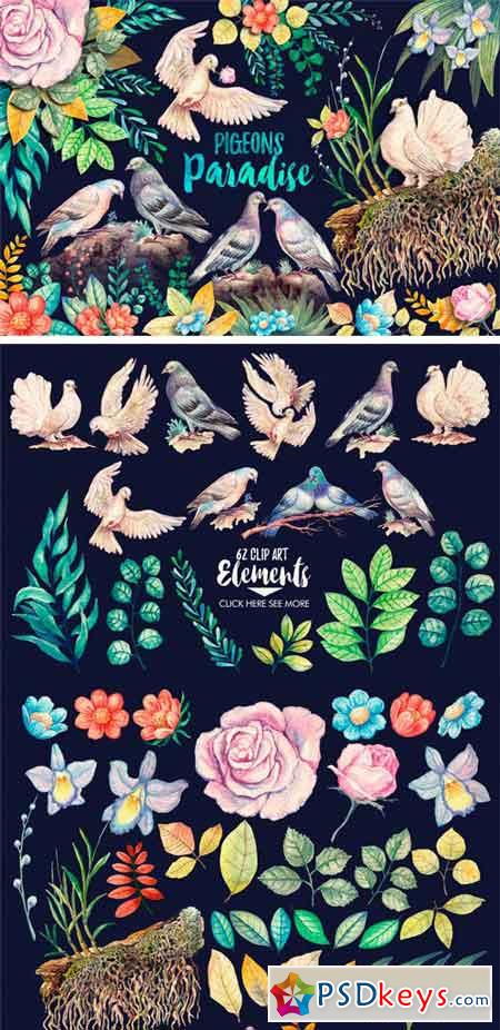 Watercolor Pigeons Paradise 1818701