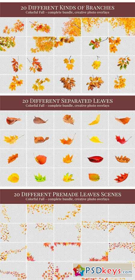 Colorful Fall Photo Overlays 1831250