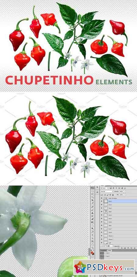 Chupetinho elements 1867877