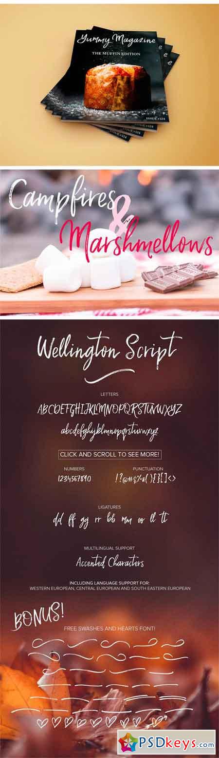 Wellington Script Font 1876014