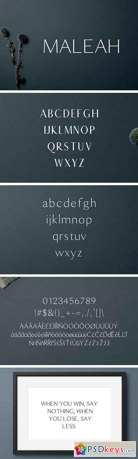 Maleah Sans Serif 2 Font Family Pack 1919992
