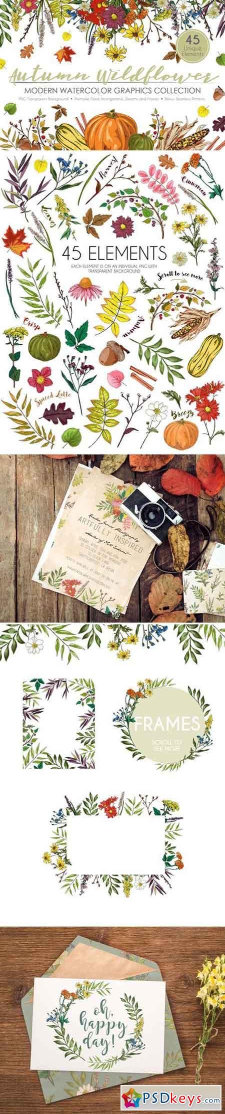 Autumn Wildflower Graphic Set 1872584