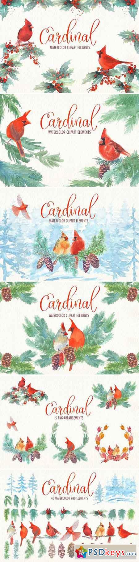 Cardinal bird watercolor clipart set 1870858