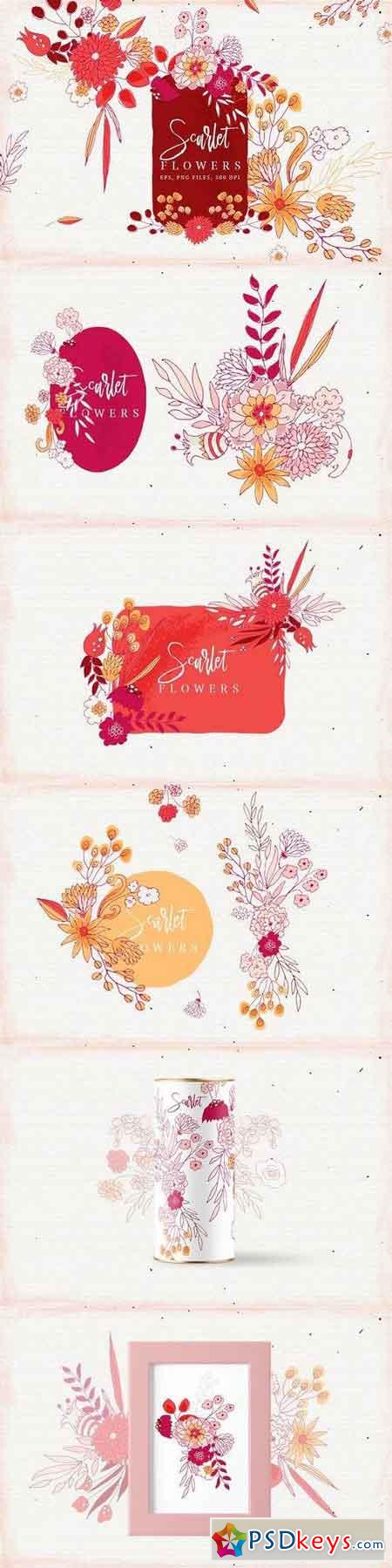 Scarlet Flowers 1632471