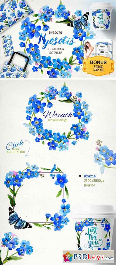 Myosotis Flowers PNG Watercolor Set 1920321