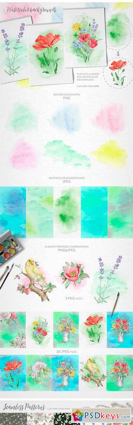 Watercolor Floral Collection 1851675