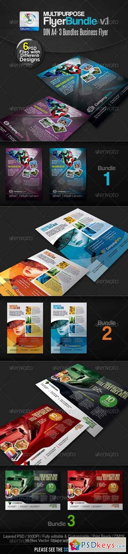 Multipurpose Business Flyer Pack v.1 2502513