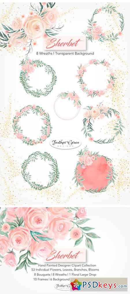 Watercolor Flowers - Sherbet 1884561