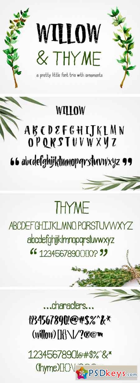 Willow & Thyme with Logo Ornaments 1932272