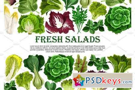Salad leaf, vegetable greens banner border design 1956132