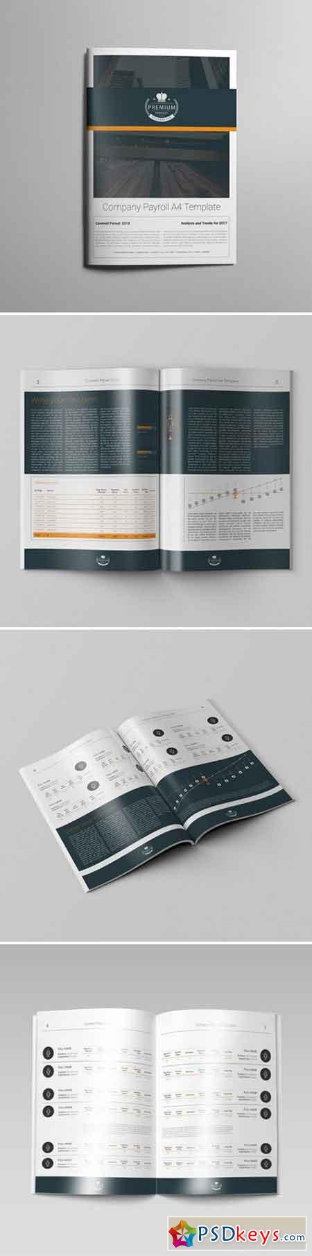 Company Payroll A4 Template 000113