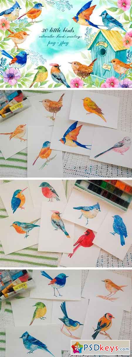 30 Little Birds Watercolor 1971634