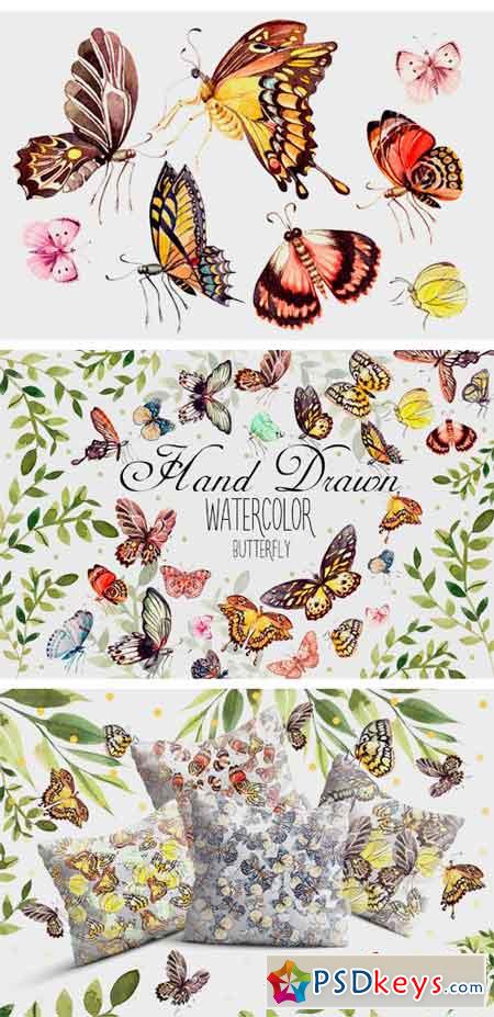 Beautiful Watercolor Butterflies 1952928